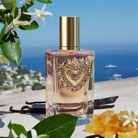 devotion dolce gabbana